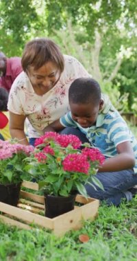 Mutlu Afro-Amerikan ailesinin bahçedeki dikey videosu. Aile evde birlikte vakit geçiriyor..