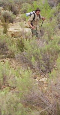 Sakallı, beyaz, erkek kazazedelerin vahşi doğayı keşfetmelerinin dikey videosu. Doğada bedensel kapsama, keşif ve hayatta kalma..