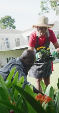 Mutlu yaşlı çiftlerin bahçede çiçek kaplamalarının dikey videosu. Mutluluk, sağlık, emeklilik, birliktelik, ev hayatı ve kapsayıcılık kavramı.