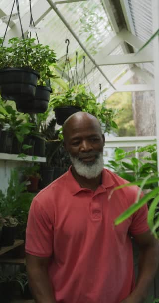 Vídeo Vertical Del Retrato Hombre Afroamericano Mayor Invernadero Pasar Tiempo — Vídeos de Stock