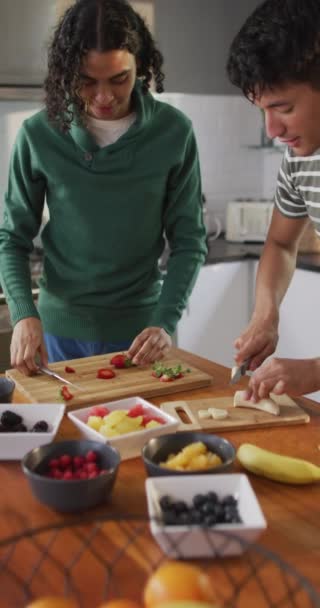Vídeo Vertical Feliz Casal Diversificado Fazendo Bebida Saudável Juntos Cozinha — Vídeo de Stock