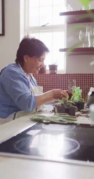 在厨房里 一个带着围裙和园艺的笑着的年长的白人妇女的垂直视频 健康和积极的家庭退休 — 图库视频影像