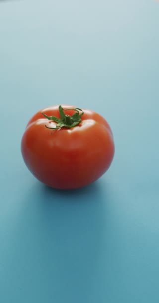 Verticale Video Van Verse Rijpe Rode Tomaat Blauwe Achtergrond Verse — Stockvideo