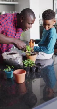 Mutlu Afro-Amerikan baba ve oğlunun çiçek dikerken çekilmiş dikey videosu. Aile, ev kavramında kaliteli zaman geçirme.