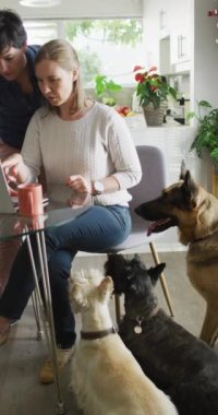 Kafkasyalı lezbiyen çiftin evde dizüstü bilgisayar kullanışının dikey videosu. Evde birlikte vakit geçirmek..