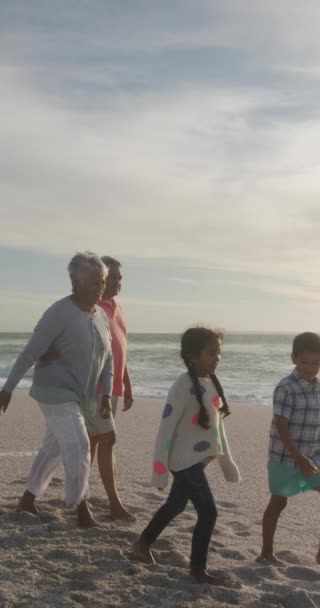 Qavídeo Vertical Familia Birracial Feliz Caminando Playa Soleada Saludable Vacaciones — Vídeo de stock