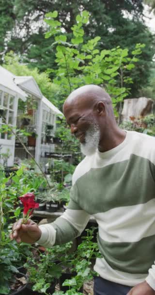 Vídeo Vertical Retrato Hombre Afroamericano Mayor Jardín Pasar Tiempo Aire — Vídeos de Stock
