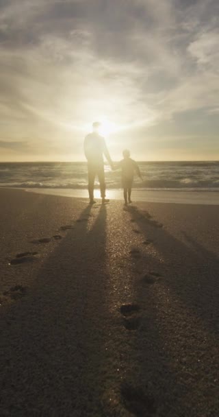 Vídeo Vertical Padre Biracial Con Hijo Caminando Por Playa Soleada — Vídeo de stock