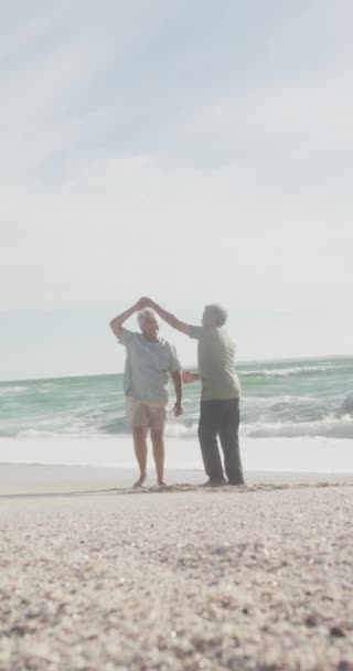 Vertikales Video Von Glücklichen Senioren Die Auf Einem Sonnigen Strand — Stockvideo