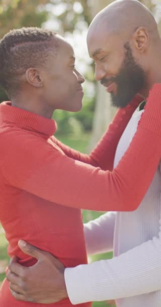 Vídeo Vertical Marido Mulher Afro Americanos Felizes Abraçando Jardim Conceito — Vídeo de Stock