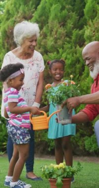 Mutlu Afro-Amerikan büyükannelerle iki torununun birlikte bahçeyle uğraşırken çekilmiş dikey videosu. ev hayatı, evde kaliteli aile zamanı..