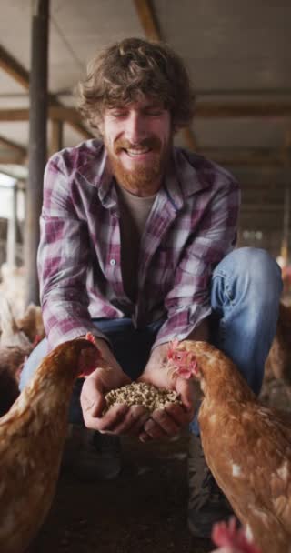 在鸡舍里 一个有着胡子的高加索男人用手喂小鸡的垂直视频 有机农场中的身体包容 家园和健康的生活方式 — 图库视频影像
