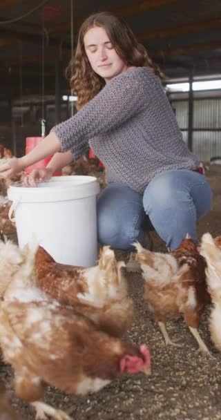 在鸡舍里吃鸡的高加索女人的垂直录像 有机农场中的身体包容 家园和健康的生活方式 — 图库视频影像