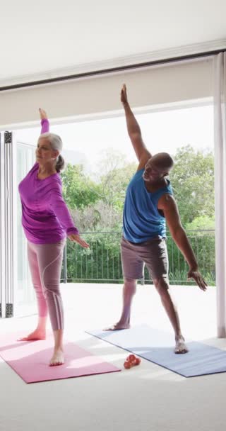 Lodret Video Glade Forskellige Senior Par Øve Yoga Udøver Sammen – Stock-video