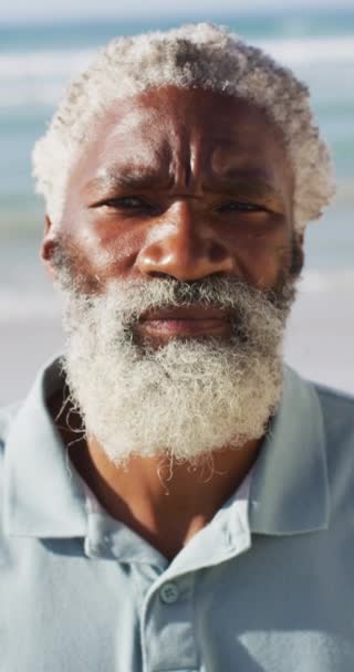 Vídeo Vertical Americano Africano Sénior Feliz Olhar Para Câmara Praia — Vídeo de Stock