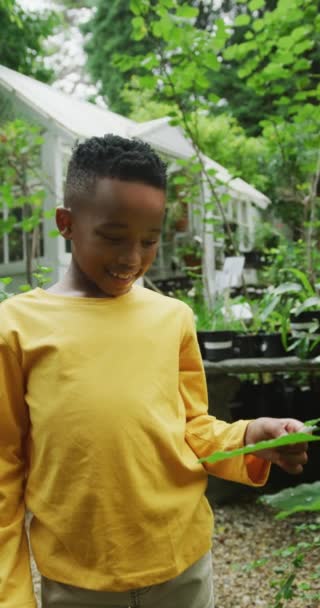 Vertical Video Portrait African American Boy Looking Plants Garden Spending — Stock Video