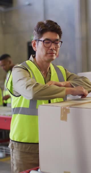 Vertikální Video Portrétu Asijského Pracovníka Krabicí Skladu Globální Přeprava Doručování — Stock video