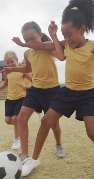 Vídeo Vertical Feliz Diversas Alunas Exercitando Escola Escola Educação Inclusão — Vídeo de Stock