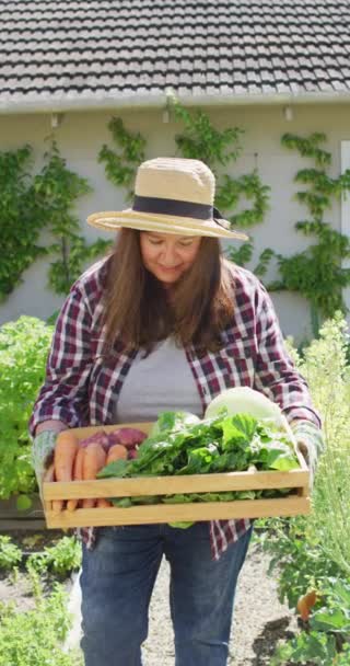 Vídeo Vertical Mulher Caucasiana Sorridente Jardim Ensolarado Carregando Legumes Recém — Vídeo de Stock