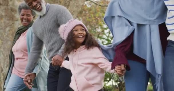Montage Van Drie Generatie Afrikaanse Amerikaanse Familie Thuis Park Winter — Stockvideo