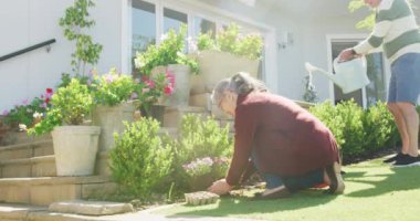 Mutlu kıdemli çift güneşli bir günde bahçede çalışıyor. Etkin emeklilik ve yaşam tarzı kavramı.