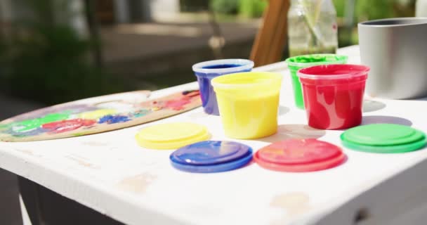 Close Colourful Paints Painting Equipment Lying Table Garden Art Painting — 비디오