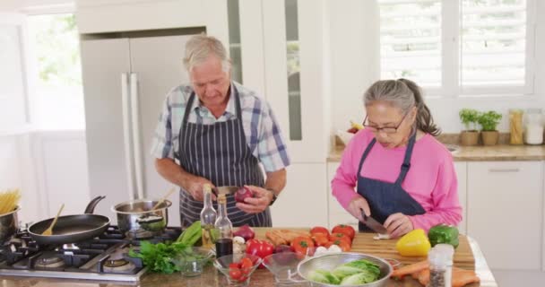 Gelukkig Afwisselend Senior Koppel Draagt Schorten Kookt Keuken Actief Pensioen — Stockvideo