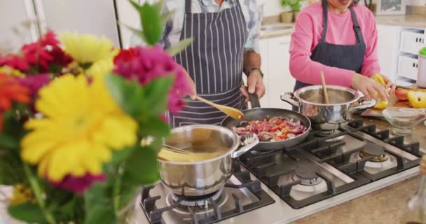 Gelukkig Afwisselend Senior Koppel Draagt Schorten Kookt Keuken Actief Pensioen — Stockvideo