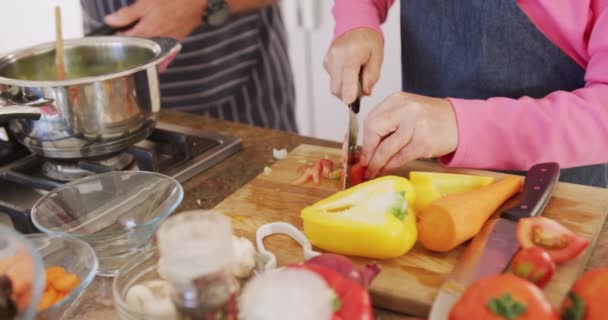 Middendeel Van Diverse Senior Echtparen Die Schorten Dragen Koken Keuken — Stockvideo