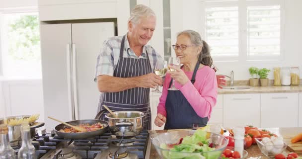 Happy Diverse Senior Couple Wearing Aprons Drinking Wine Kitchen Active — Vídeo de Stock