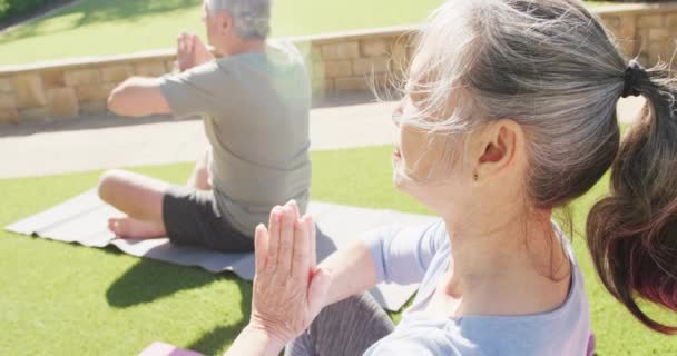 Glad Varierad Senior Par Praktiserar Yoga Och Mediterar Mattor Trädgården — Stockvideo