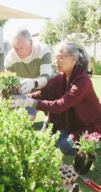 Bahçede çalışan mutlu yaşlı çiftin dikey videosu. Etkin emeklilik ve yaşam tarzı kavramı.