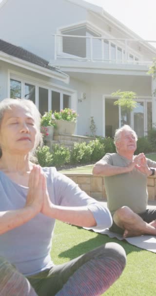 Vertical Video Happy Diverse Senior Couple Practicing Yoga Garden Active — Vídeo de Stock