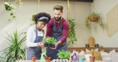 Video of happy diverse couple potting seedlings together at home, with copy space. Happiness, inclusivity, free time, ecology, togetherness and domestic life.