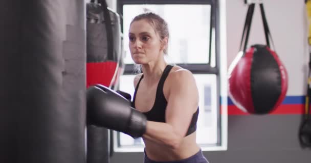 ジムでパンチバッグとボクシングの手袋のトレーニングで自信を持って 決定した白人女性のビデオ フィットネス 健康的なライフスタイル — ストック動画