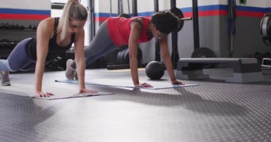 Video of two determined diverse women doing push ups working out at a gym. Exercise, fitness and healthy lifestyle.