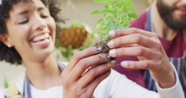 Video of happy diverse couple looking at plant, potting seedlings together at home, with copy space. Happiness, inclusivity, free time, ecology, togetherness and domestic life.