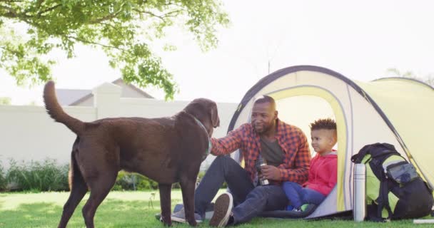Happy African American Father His Son Pet Dog Sitting Tent — Stok video