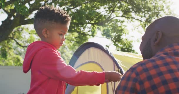 Happy African American Father His Son Setting Tent High Fiving — Αρχείο Βίντεο