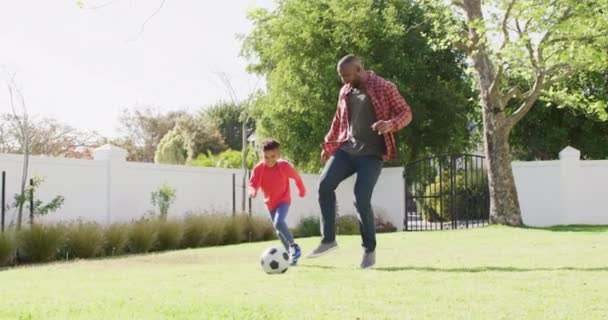 Happy African American Father His Son Playing Football Garden Spending — 비디오