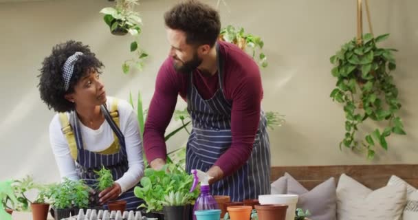 Video Happy Diverse Couple Potting Seedlings Together Home Copy Space — Vídeo de stock