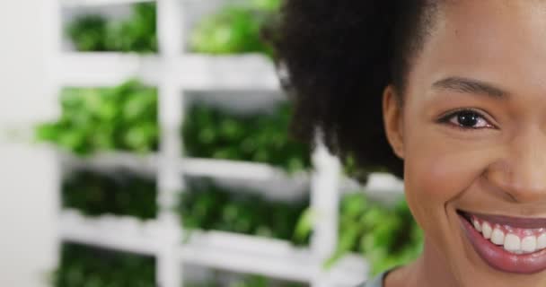 Retrato Mulher Negócios Afro Americana Olhando Para Câmera Sorrindo Escritório — Vídeo de Stock