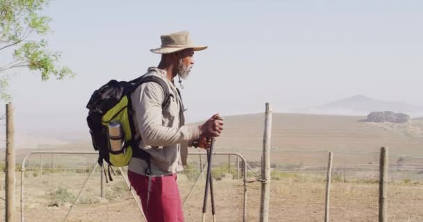 高级非洲裔美国人在阳光明媚的日子里带着远足的杆子徒步旅行 动作缓慢 积极的生活方式和自然概念 — 图库视频影像