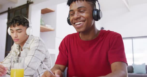 Portrait Happy Diverse Male Teenage Friends Having Video Call Home — Vídeos de Stock