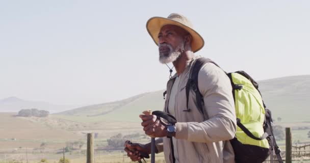 Senior African American Man Hiking Trekking Poles Sunny Day Slow — Stock video