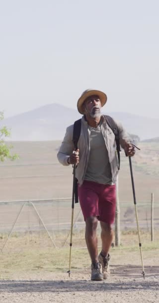 Vertical Video Senior African American Man Hiking Trekking Poles Hiking — Stock video