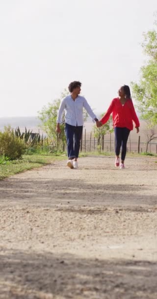 Afro Amerikan Bir Çiftin Ele Yürüdüğü Dikey Bir Video Boş — Stok video