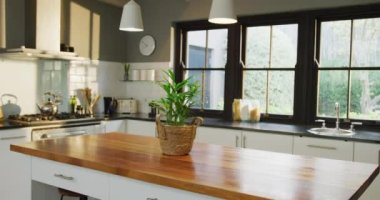 Empty house interior with kitchen window and plant on table, slow motion. Interior design, house and furniture concept.