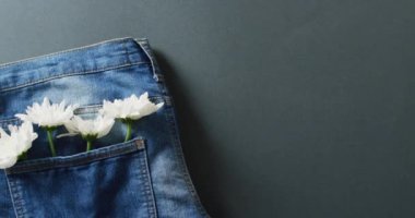 Close up of jeans with white flowers on grey background with copy space. Denim day, material, style and design concept.