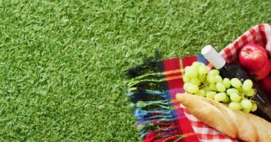 Picnic basket with checkered blanket, fruits, bread and wine on grass with copy space. Picnic day, food and nature concept.
